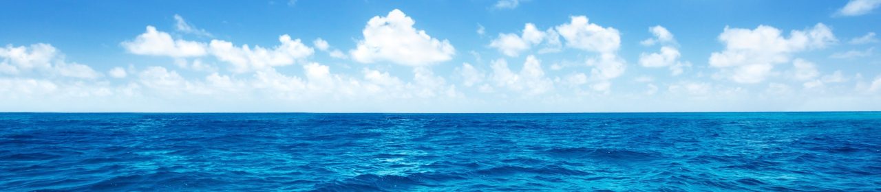 Magical Fuerteventura